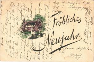1900 Fröhliches Neujahr! / New Year greeting, Emb. (Rb)