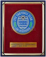 2002. ZTE Football Club-1920-Zalaegerszeg - Zalaegerszegi TE FC-Dinamo Zagreb 2002.10.03 fém plakett, bársony tokban (120mm) T:1-