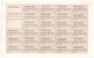 Nagykőrös 1924. "A Nagykőrösi Gyógynövény és Vegyipari Részvénytársaság" száz részvénye eg...