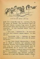Fekete István: Csí. Történet állatokról és emberekről. Mühlbeck Károly rajzaival. Bp.,(1940),Singer ...