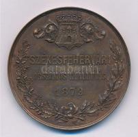 1879. "Székesfehérvári Országos Kiállítás" Br emlékérem (45,44g/50mm) T:2 Hungary 1879. "Székesfehérvár National Exposition 1879" Br commemorative medallion (45,44g/50mm) C:XF