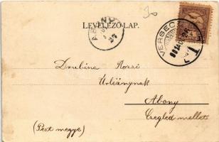 1901 Versec, Werschetz, Vrsac; Szék utca, Hotel Paris szálloda, üzlet. Wilhelm Wettl No. 69. / Resid...