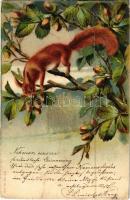 1905 Squirrel. Ser. 334. No. 2581. Emb. litho (EK)