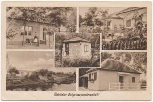 1944 Szigetszentmárton, nyaraló, villa, részletek (ázott / wet damage)