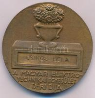 ~1970-1980. "Magyar Elektrotechnikai Egyesület 1900 / A Magyar Elektrotechnikai Egyesület Déri ...