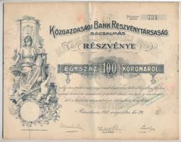 Bácsalmás 1911. Közgazdasági Bank Részvénytársaság Bácsalmás részvénye 100K-ról szelvényekkel, bélyegzéssel T:II- fo.