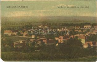 Dicsőszentmárton, Tarnaveni, Diciosanmartin; Vedere generala a orasului / látkép / general view (EM)