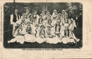 Nagyszeben, folks group