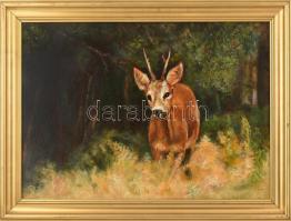 Róth István (?-): Őzike, 2004. Olaj, farost, jelzett. Fa keretben. 50x70 cm