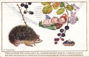 s: Sowetby Child, hedgehog