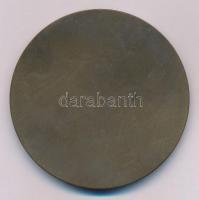 Telcs Ede (1872-1948) 1930. "Thek Endre 1842-1919" Br emlékérem (60mm) T:2