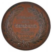 Ausztria ~1849. "Julius Haynau / Temesvári csata 1849. augusztus 9." Br emlékérem. Szign: ...