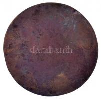 DN "I. Díj Amatőrverseny" Br ügető emlékérem (87mm) T:1-