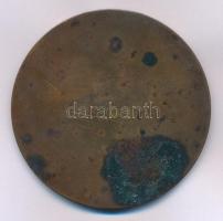 Beck Ö. Fülöp (1873-1945) 1920. "Az Országos Rákosi Jenő-ünnep emlékére" Br emlékérem (65m...