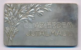 ~1910. "Budapesti Kirakatverseny / Az érdem jutalmául" ezüstözött Br emlékplakett (69x40mm...