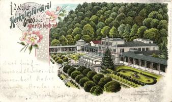 Herkulesfürdő cure hall litho