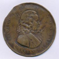 Amerikai Egyesült Államok ~1900. Elias Howe Jr - Inventor & Maker. New York U.S.A. Br lemezérem (53mm) T:3 USA ~1900. Elias Howe Jr - Inventor & Maker. New York U.S.A. Br commemorative medallion (53mm) C:F