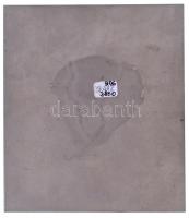 ~1980. "Rádiófelderítés - 30 éves szolgálat a Magyar Néphadseregben" aranyozott, műgyantás...