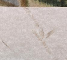 Márffy Ödön jelzéssel: Magányos fa. Akvarell, papír. Apró felületi sérüléssel. Fa keretben. 43x27,5 ...