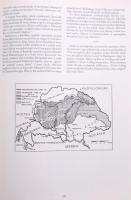 Sisa István: Magyarságtükör. Nemzet határok nélkül. Bp., 2001, Püski. Kiadói egészvászon-kötés, kiad...