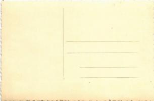 Planica, Smucarski dom S.K. Ilirije / hotel spa, swimming pool. photo