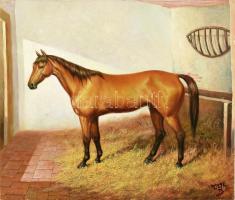 Czinege Zsolt (1964-): Ló istállóban. Olaj, vászon, jelzett. 50×60 cm