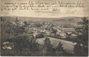 1911 Eibiswald (Steiermark), mit Umgebung / general view. N. Strametz Fotograf