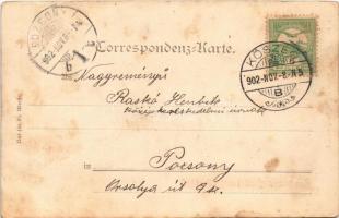 1902 Zell am Ziller (Tirol), general view, church. Kunstverlag H. Kölz Nr. 321. (fl)