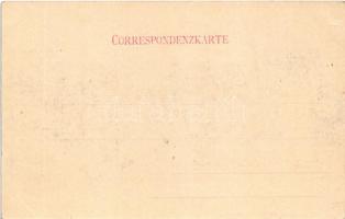 Gleisdorf (Steiermark), Kloster der Dominikanerinnen / monastery, convent, nunnery. Verlag v. Anton ...