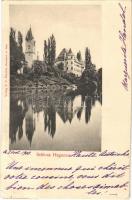 1900 Sankt Peter am Hart, Schloss Hagenau / castle. Verlag J. C. Prechtl (EK)