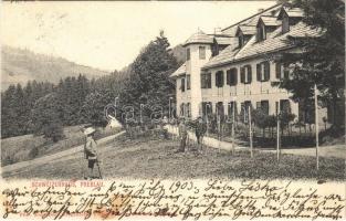 1903 Wolfsberg (Kärnten), Schweizerhaus, Preblau (Prebl) / restaurant, hotel, inn. Phot. Alois Beer (EK)