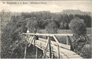 Sankt Ruprecht an der Raab (Steiermark), Waldpark-Partie / forest park, wooden bridge. J. Tentschert