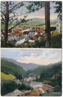 Passail (Steiermark), Totale von der Waldpromenade, Bergbau Haufenreith / general view, silver mine. Verlag J. Grill (fl)