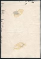 cca 1929 Kinszki Imre (1901-1945) budapesti fotóművész hagyatékából, jelzés nélküli vintage fotó (át...