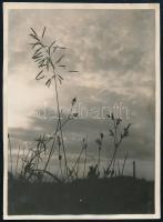 1929 Kinszki Imre (1901-1945) budapesti fotóművész hagyatékából, a szerző által feliratozott, datált és sorszámozott vintage fotó (Rákos, ez a szerző 237. sz. felvétele), 8,6x6,1 cm