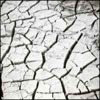 cca 1989 Menesdorfer Lajos (1941-2005) budapesti fotóművész hagyatékából, 13 db professzionális minő...