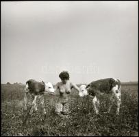 Végül is minden a nőkről szól, így ezek a felvételek is. Eltérő időpontokban, különböző helyszíneken...