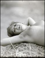 Vizuális menüsor kizárólag esztétika fogyasztóknak. Eltérő időpontokban, különböző helyszíneken és t...