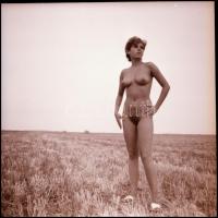 Vizuális menüsor kizárólag esztétika fogyasztóknak. Eltérő időpontokban, különböző helyszíneken és t...