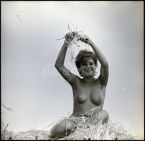 Eszem-iszom, dínom-dánom, tiéd lehet minden szép álom. 9 db vintage negatív és pozitív, 6x6 cm és 24...