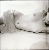 Akt lesen. Eltérő időpontokban, különböző helyszíneken és több fotómodell közreműködésével készült a...