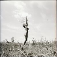 Tisztelet, szeretet, imádat - minden felvételen. Eltérő időpontokban, különböző helyszíneken és több...