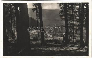 1941 Borszék, Borsec; Alsó Borszék. Heiter György udvari fényképész felvétele / general view (EK)