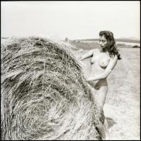 Csak lazán, de mindig kívánatosan! Eltérő időpontokban, különböző helyszíneken és több fotómodell kö...