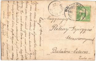 1908 Suhopolje, Terezovac; hölgyek kölyökkutyákkal / ladies with puppies. photo (fl)