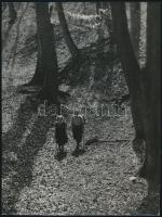 cca 1965 Vértes-hegység, Sárkánylyuk-völgy - feliratú vintage fotó, Dadi Miklós pecsétjével, 15,5x21 cm