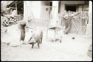 1945 Tiszavölgyi József (1909-?) budapesti fotóriporter hagyatékából 43 db vintage NEGATÍV, többféle...