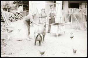 1945 Tiszavölgyi József (1909-?) budapesti fotóriporter hagyatékából 43 db vintage NEGATÍV, többféle...