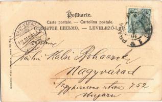 1901 Fröhliche Weihnachten! / Christmas greeting art postcard, romantic couple with sled, winter spo...