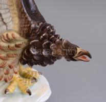 Herendi porcelán turul, kézzel festett, jelzett, jobb szárnyának egyik tolla restaurált, hátsó jobb ...